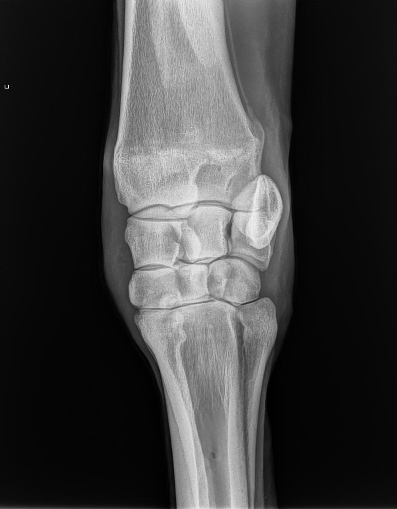 worka/vanillajswheelzoom